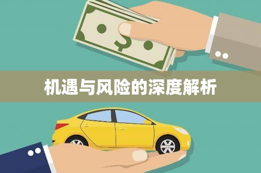 林芝机遇与风险的深度解析