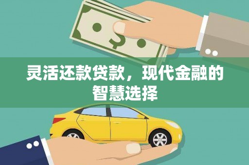 林芝灵活还款贷款，现代金融的智慧选择