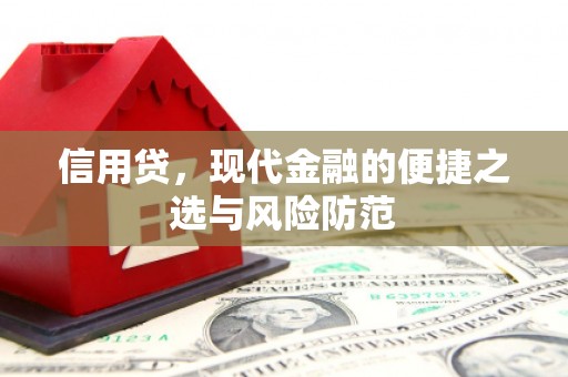 林芝信用贷，现代金融的便捷之选与风险防范