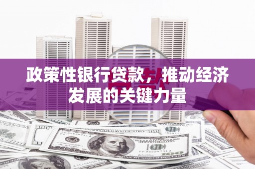 林芝政策性银行贷款，推动经济发展的关键力量