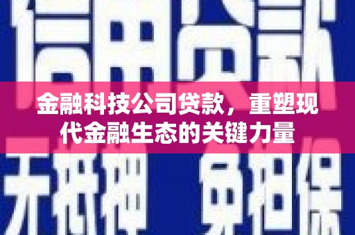 林芝金融科技公司贷款，重塑现代金融生态的关键力量