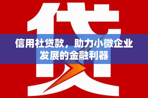林芝信用社贷款，助力小微企业发展的金融利器