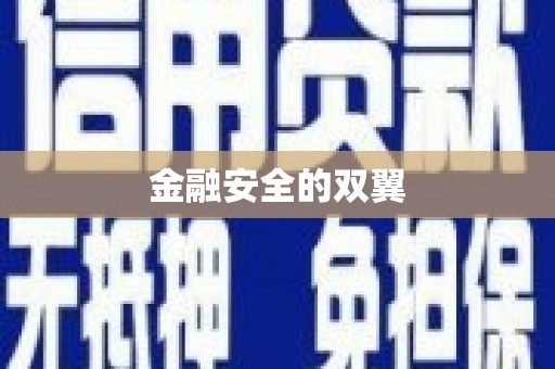 林芝金融安全的双翼