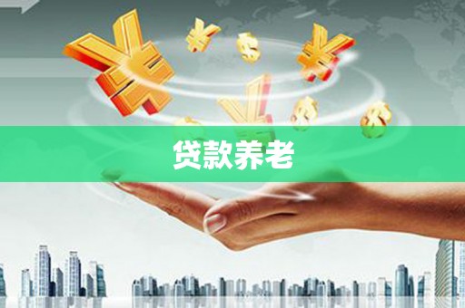 林芝贷款养老