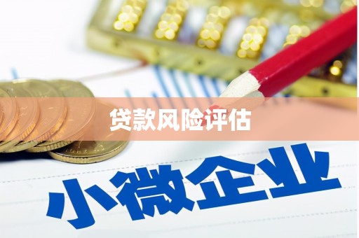 林芝贷款风险评估