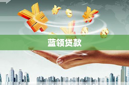 林芝蓝领贷款