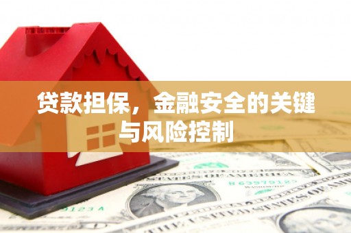 林芝贷款担保，金融安全的关键与风险控制