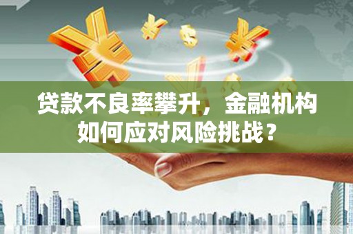 林芝贷款不良率攀升，金融机构如何应对风险挑战？