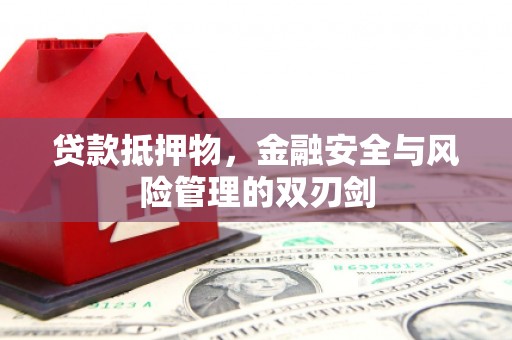 林芝贷款抵押物，金融安全与风险管理的双刃剑