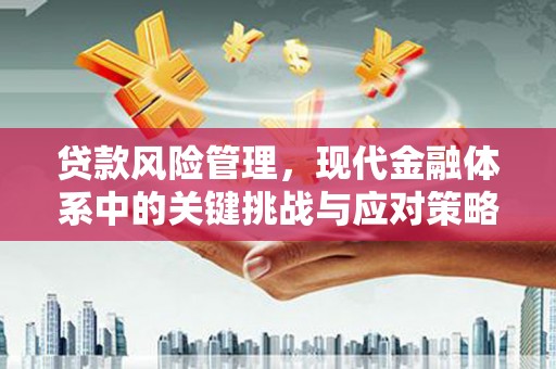 林芝贷款风险管理，现代金融体系中的关键挑战与应对策略