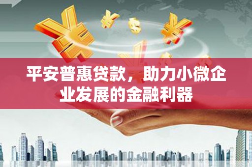 林芝平安普惠贷款，助力小微企业发展的金融利器
