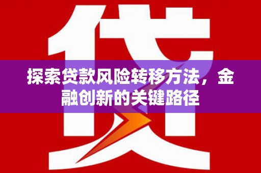 林芝探索贷款风险转移方法，金融创新的关键路径