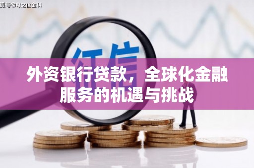 林芝外资银行贷款，全球化金融服务的机遇与挑战