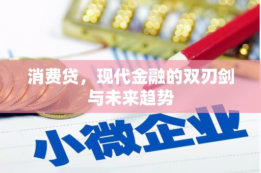 林芝消费贷，现代金融的双刃剑与未来趋势