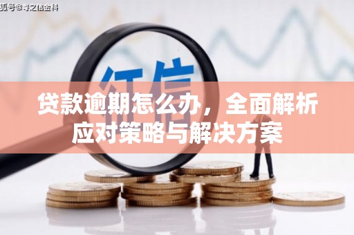 林芝贷款逾期怎么办，全面解析应对策略与解决方案