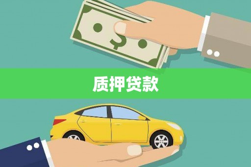 林芝质押贷款