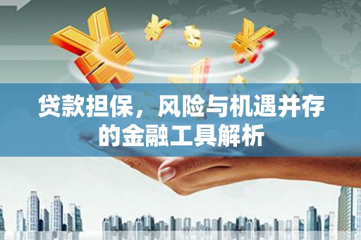 林芝贷款担保，风险与机遇并存的金融工具解析