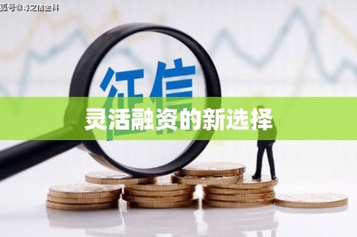 林芝灵活融资的新选择