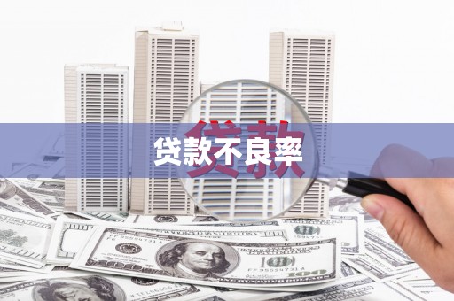 林芝贷款不良率