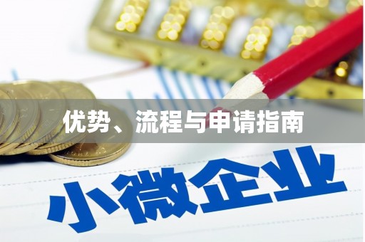 林芝优势、流程与申请指南