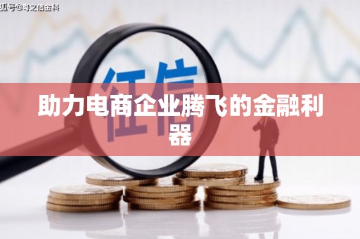 林芝助力电商企业腾飞的金融利器