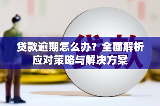 林芝贷款逾期怎么办？全面解析应对策略与解决方案