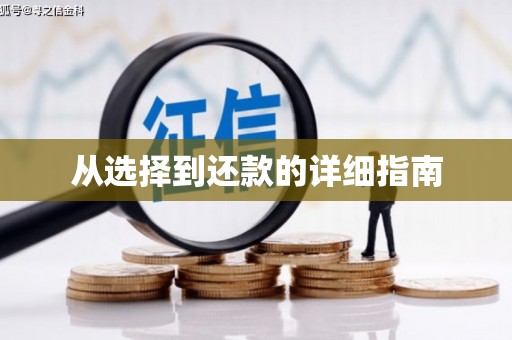 林芝从选择到还款的详细指南