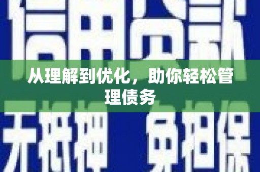 林芝从理解到优化，助你轻松管理债务