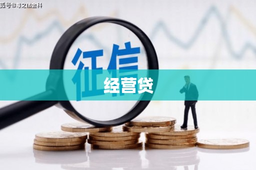 林芝经营贷