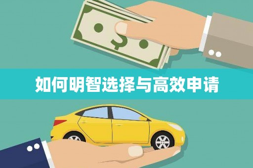 林芝如何明智选择与高效申请