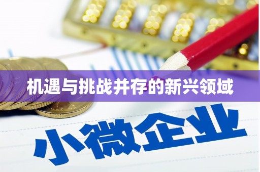 林芝机遇与挑战并存的新兴领域