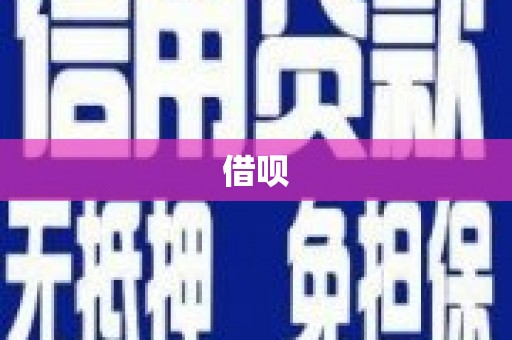 林芝借呗