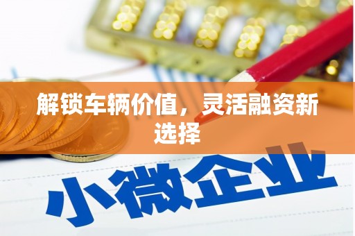 林芝解锁车辆价值，灵活融资新选择