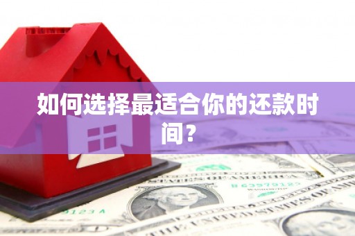 林芝如何选择最适合你的还款时间？
