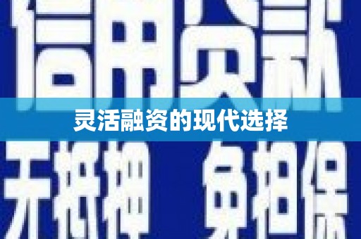 林芝灵活融资的现代选择