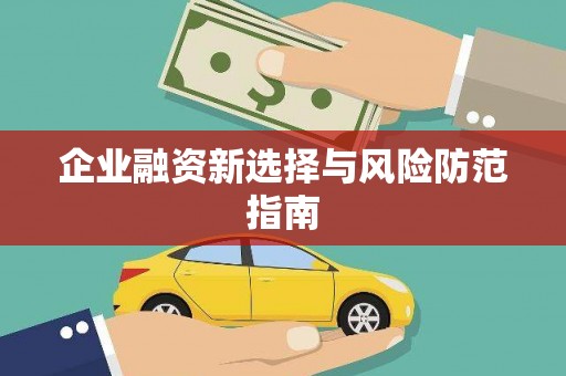 林芝企业融资新选择与风险防范指南