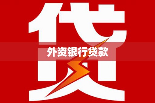 林芝外资银行贷款