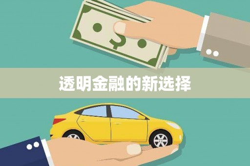 林芝透明金融的新选择