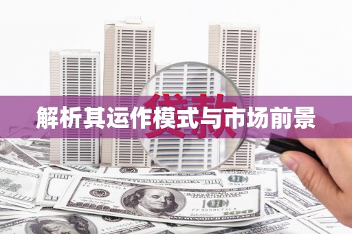 林芝解析其运作模式与市场前景