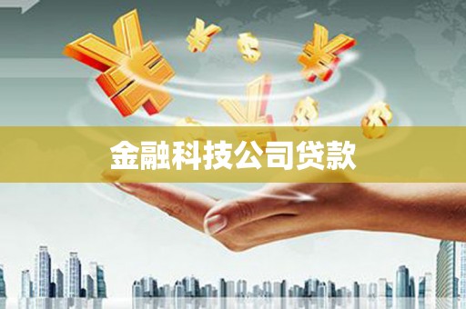 林芝金融科技公司贷款