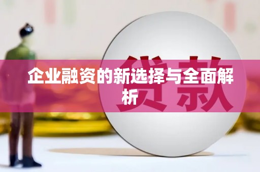 林芝企业融资的新选择与全面解析