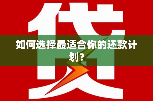 林芝如何选择最适合你的还款计划？