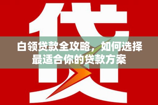 林芝白领贷款全攻略，如何选择最适合你的贷款方案