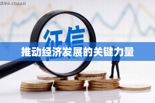 林芝推动经济发展的关键力量