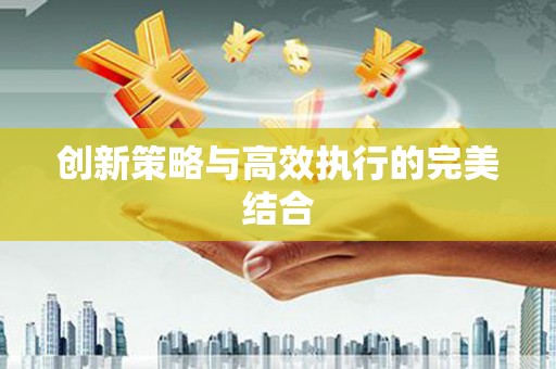 林芝创新策略与高效执行的完美结合