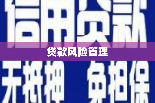 林芝贷款风险管理