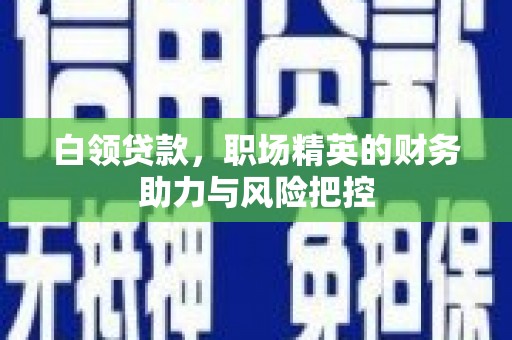 林芝白领贷款，职场精英的财务助力与风险把控