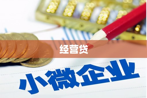 林芝经营贷