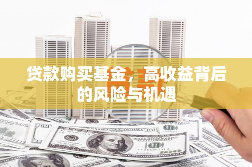 林芝贷款购买基金，高收益背后的风险与机遇